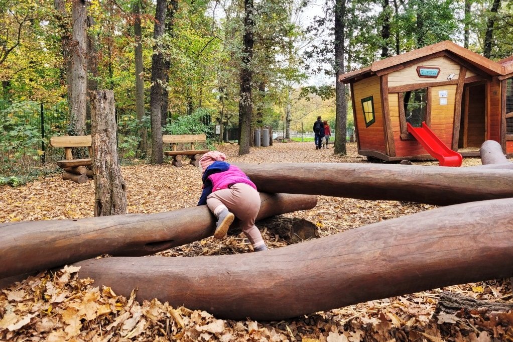 Neben den Tieren sind die Spielplätze weitere Attraktionen im Tierpark Lützen