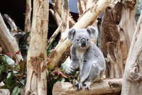 Zweitbester Zoo Europas - Zoo Leipzig