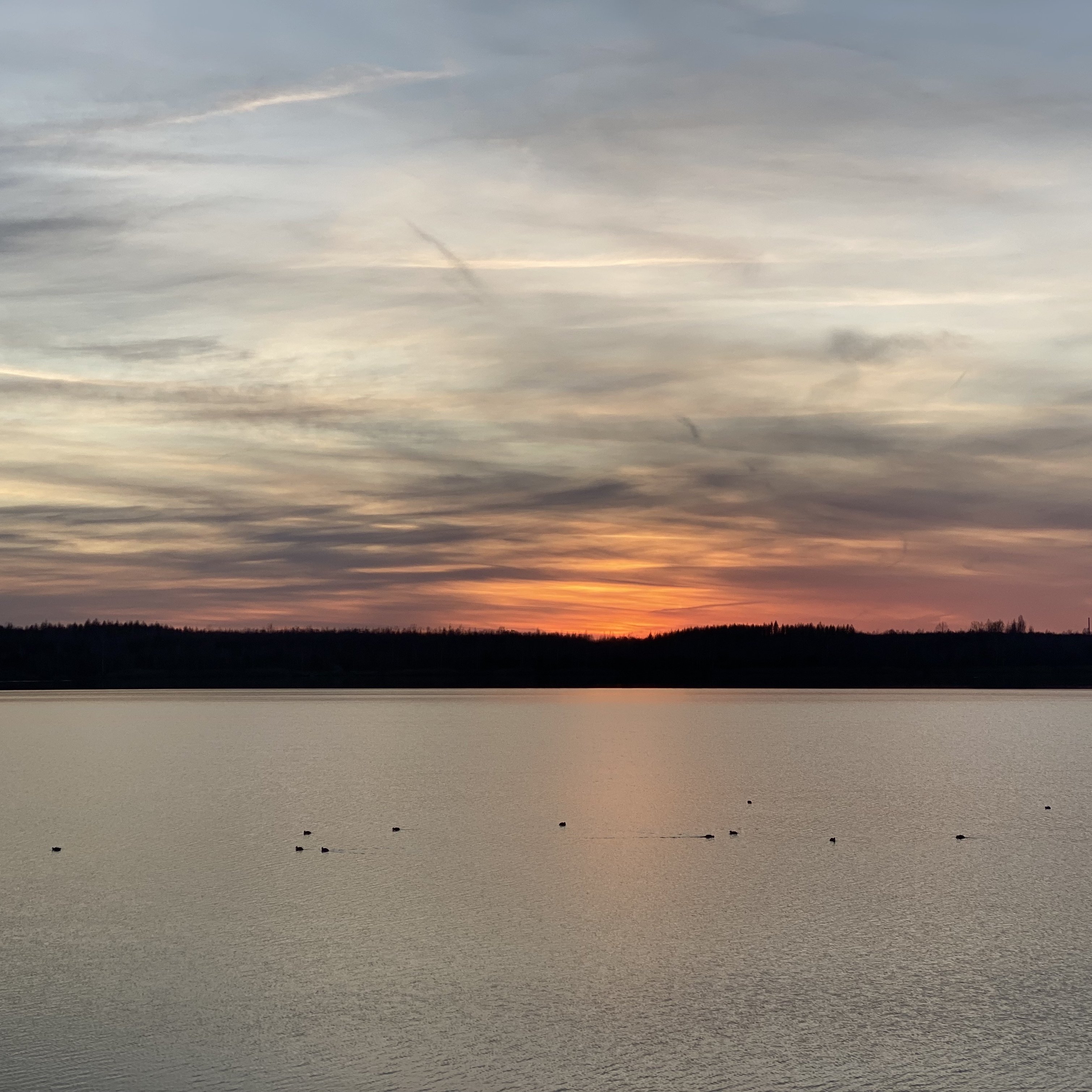 Sonnenuntergang Albrechtshainer See