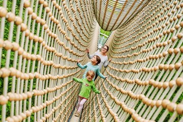 Auf der Hängebrücke kann man hoch über dem Waldboden durch die Baumkronen balancieren