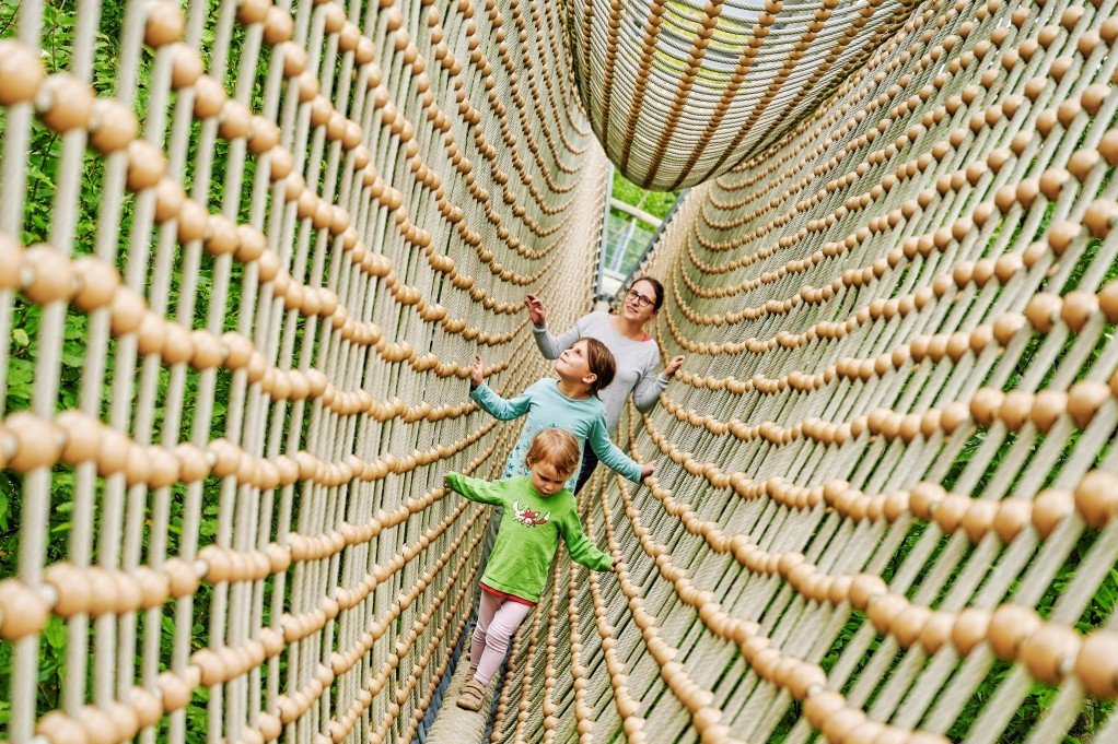 Auf der Hängebrücke kann man hoch über dem Waldboden durch die Baumkronen balancieren