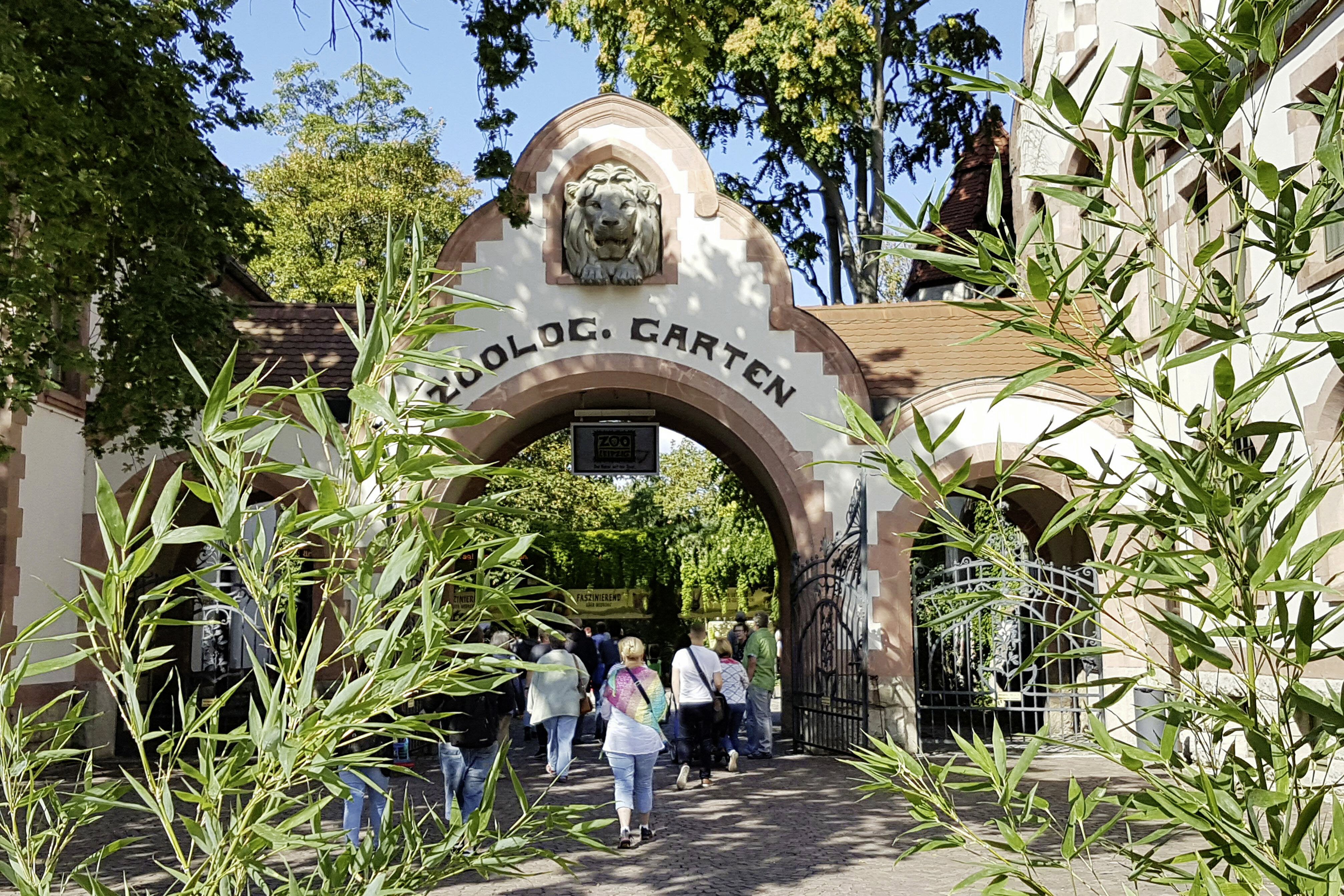Der Zoo Leipzig lädt am 9. und 10. August alle Schulanfänger ein