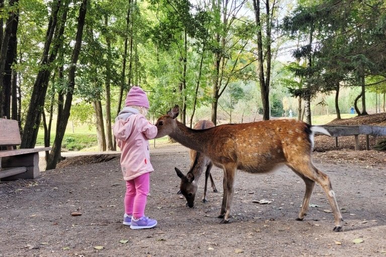 Der Sonnenlandpark verbindet Tiere und Spielattraktionen
