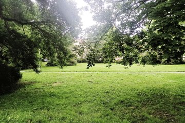 zusehen ein grüner Park 
