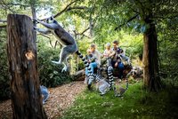 Im Zoopark kann man niedlichen Kattas ganz nah kommen