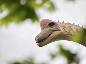 Brachiosaurius