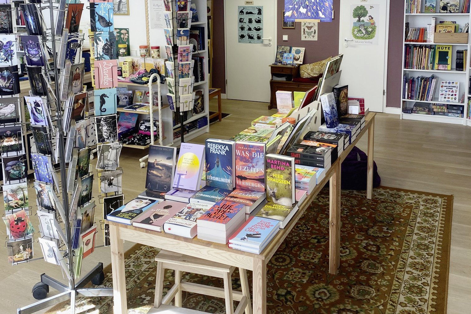 Innenraum Bücherkatze
