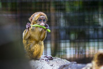 Tierparks um Leipzig