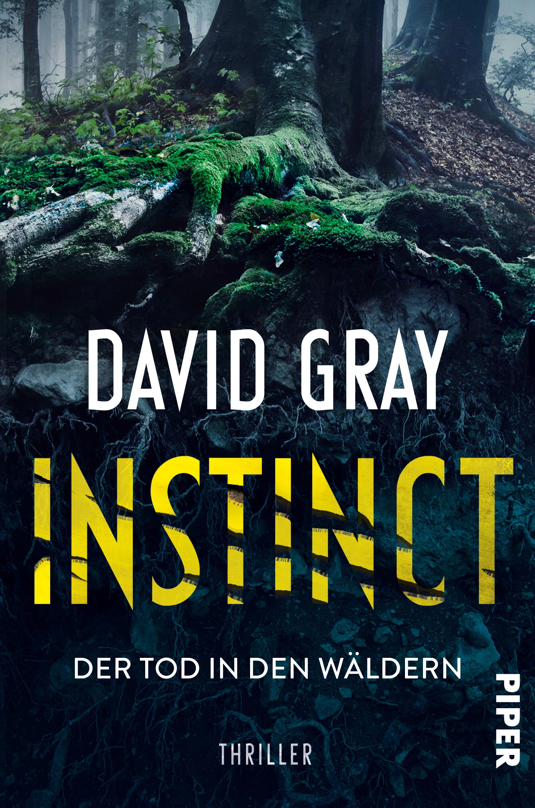 Cover: David Gray - Der Tod in den Wäldern