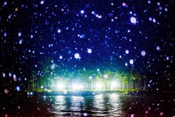 Arko Datto dokumentiert die schwindenden Mangrovenwälder Indiens in surrealem Licht