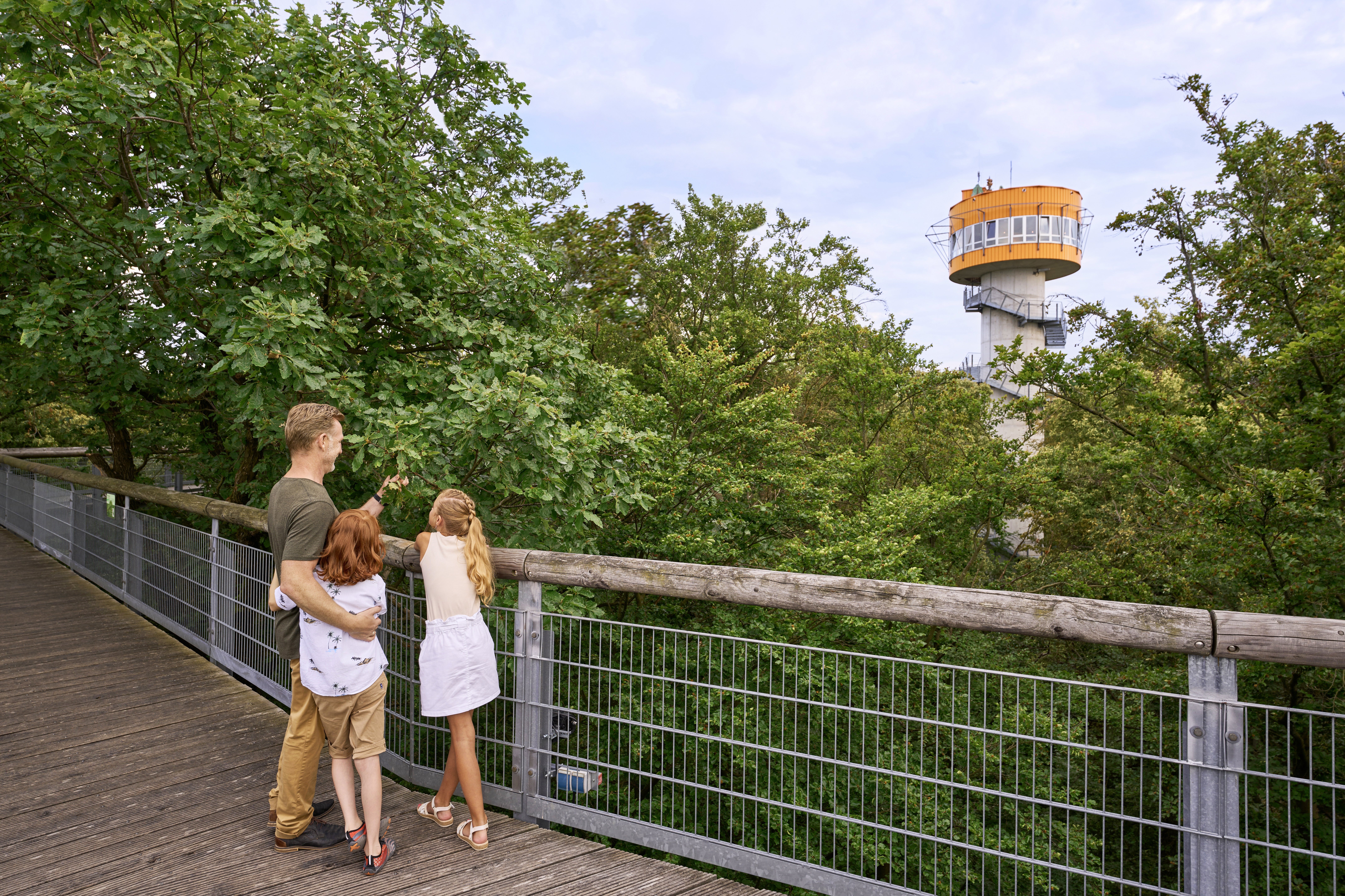 Über und mitten durch Baumkronen wandeln: ein einzigartiges Erlebnis im Natio­ nalpark Hainich