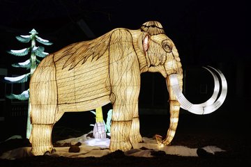 Mammut aus Lichterwelten in Halle