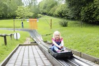 Mit Schwung durch die Landschaft: die Sommerrodelbahn Kohren-Sahlis sorgt für Nervenkitzel