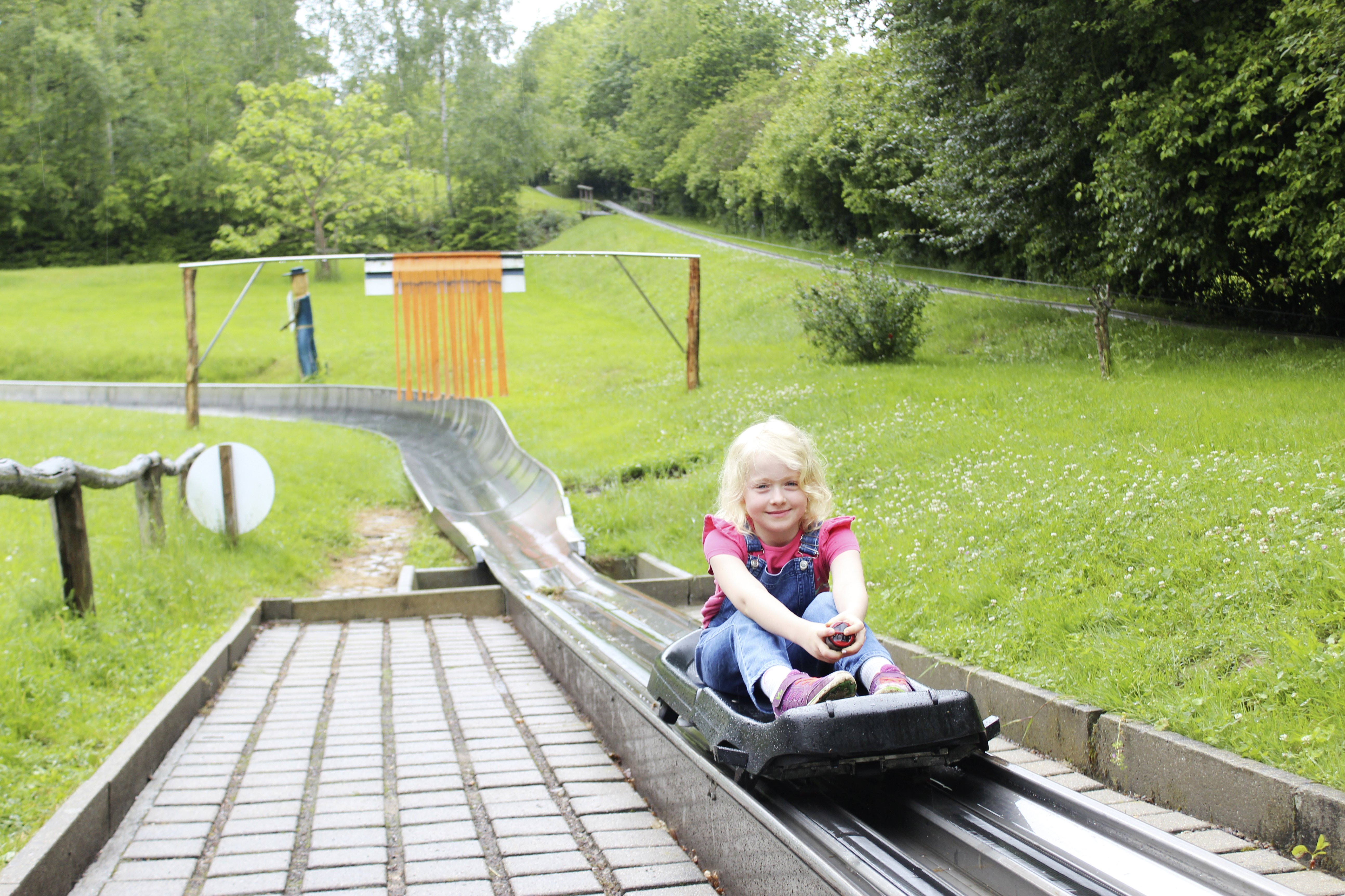 Mit Schwung durch die Landschaft: die Sommerrodelbahn Kohren-Sahlis sorgt für Nervenkitzel