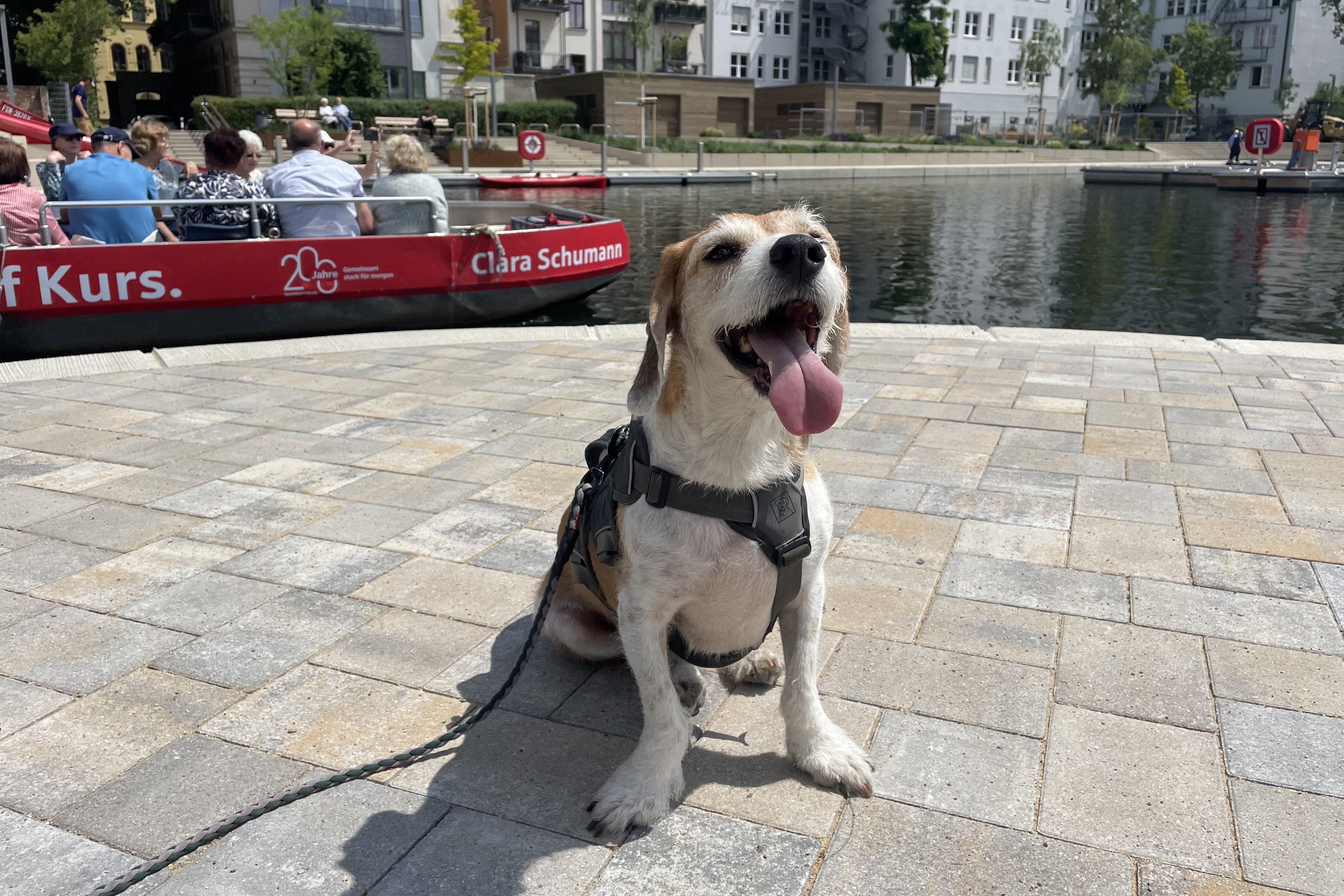 Hund vor einem Boot bei einem Ausflug in Leipzig mit Hund