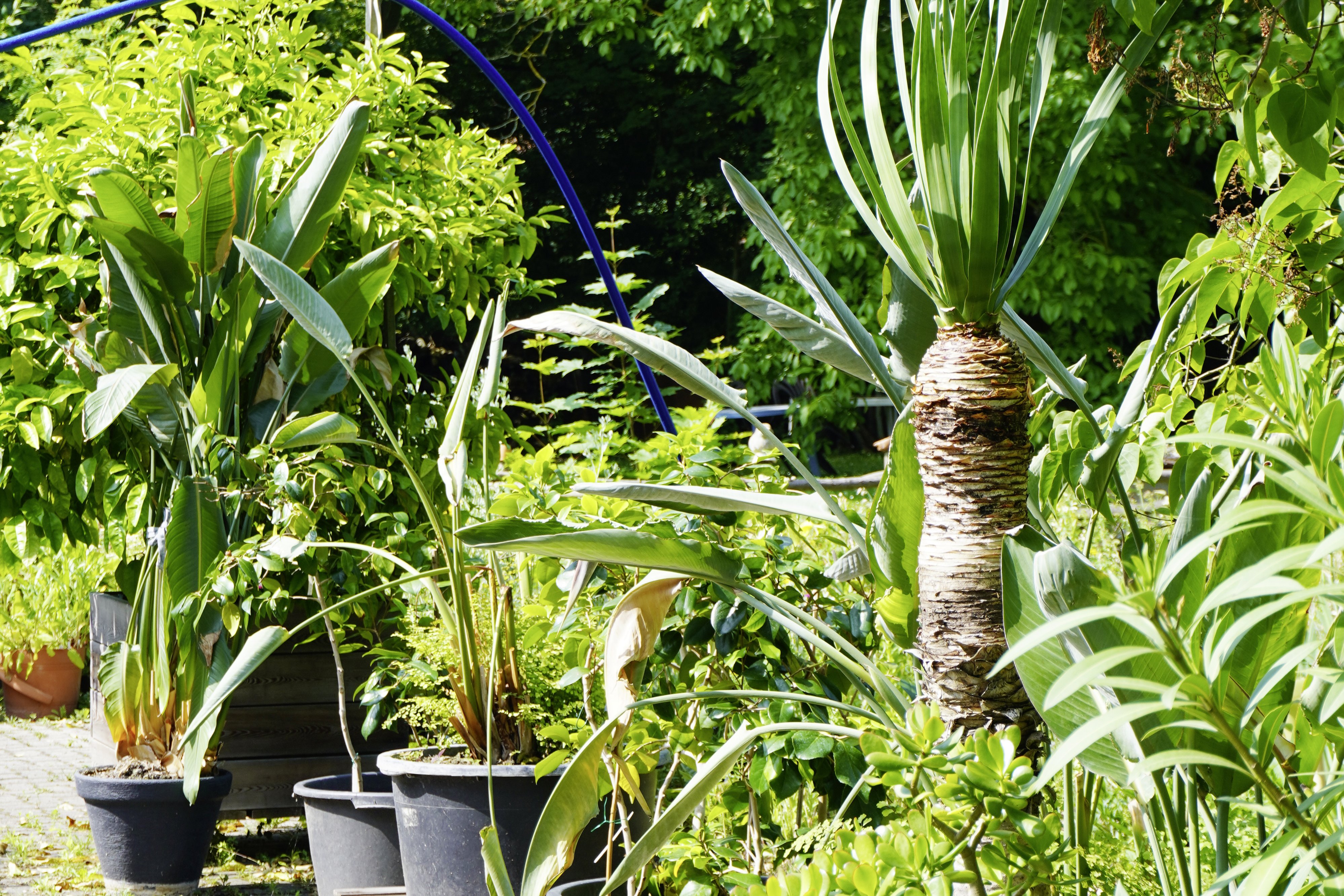 Botanischer Garten Oberholz