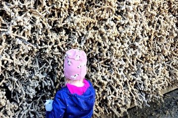 Die Gradierwand im Kurpark lädt zum Fühlen ein