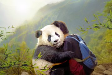Zwischen Moon und Tian entwickelt sich im Laufe eines großen Abenteuers eine tiefe Freundschaft