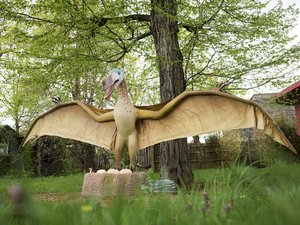 Pterodactylus