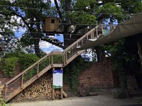 Baumhaus im Sommer