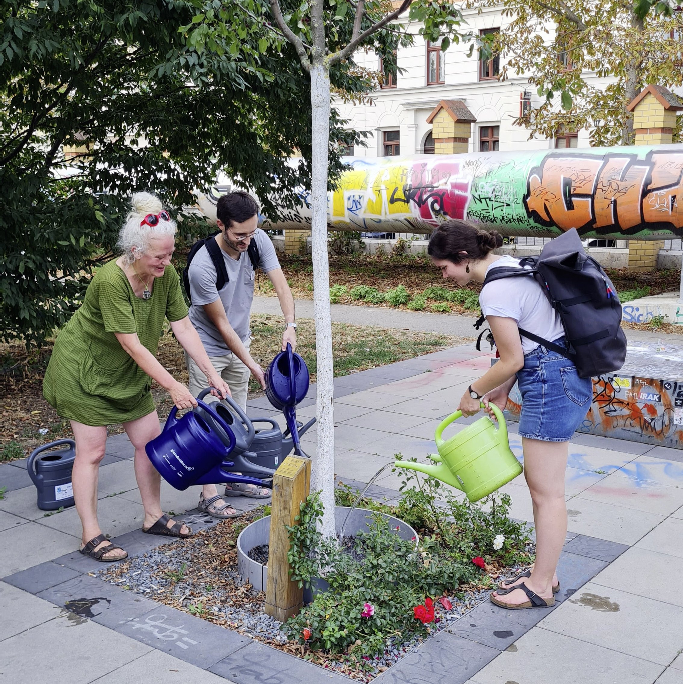 zusehen: 4 menschen die einen baum gießen 