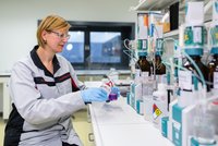 Dr. Simone Haubold