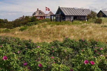 Ferienhäuser in Dänemark