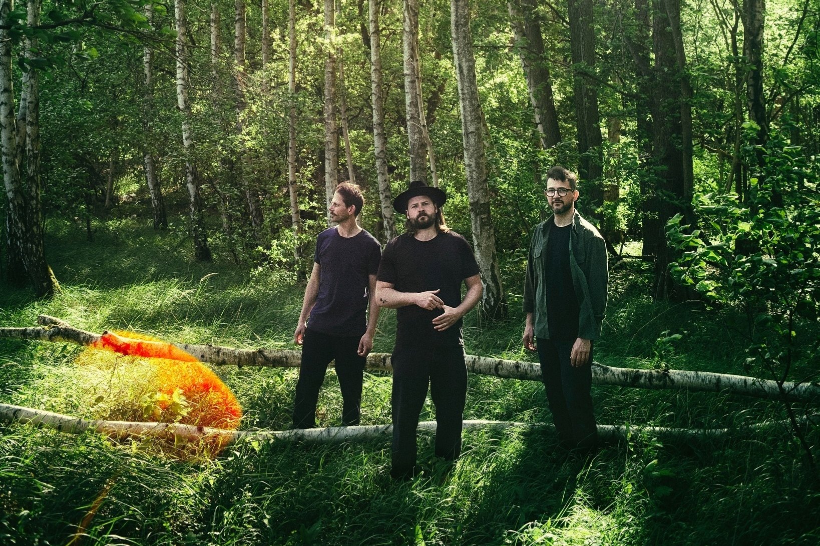 Die Mighty Oaks