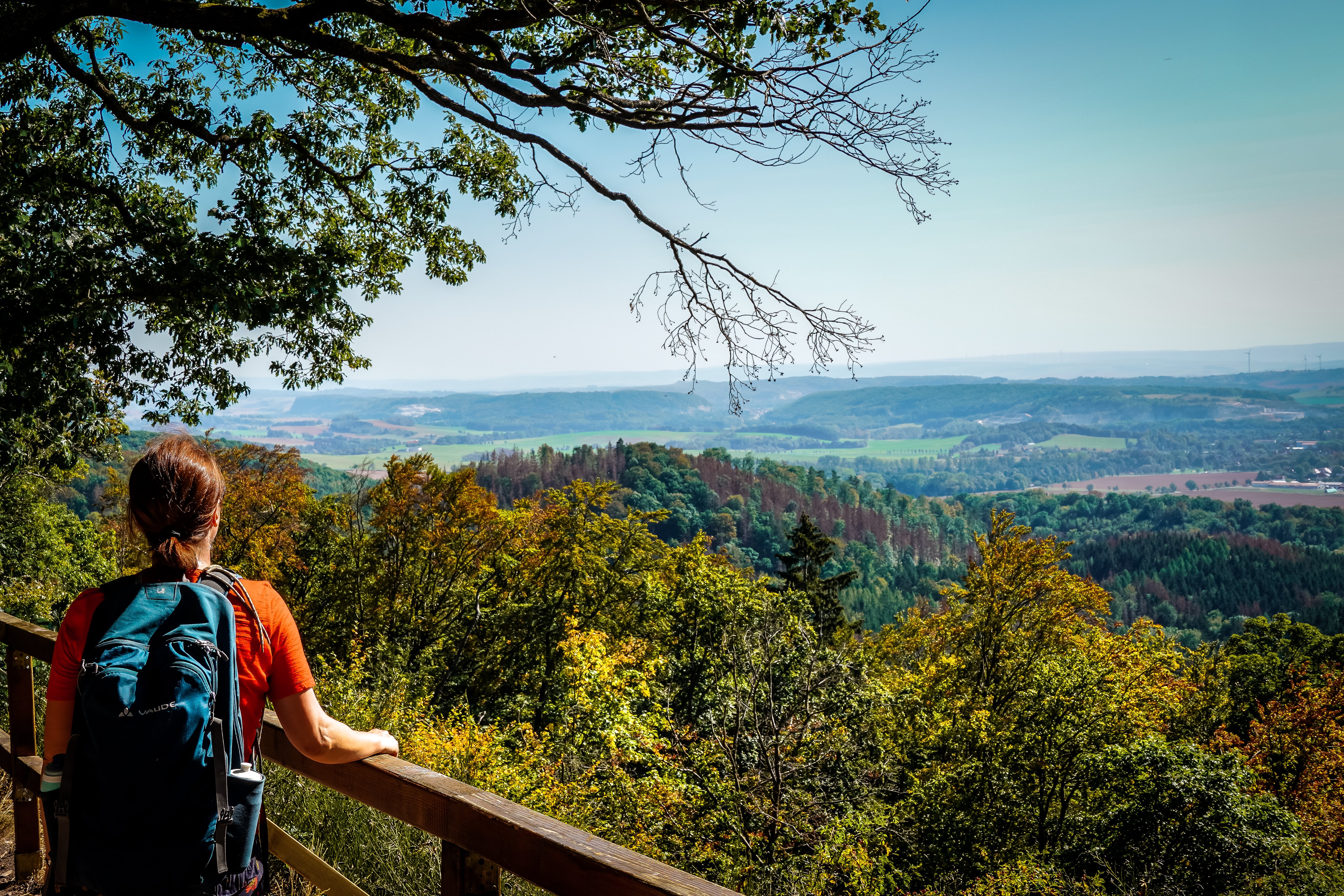 Wandern im Südharz - Aussicht