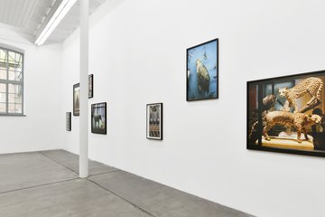 Galerie Kleindienst