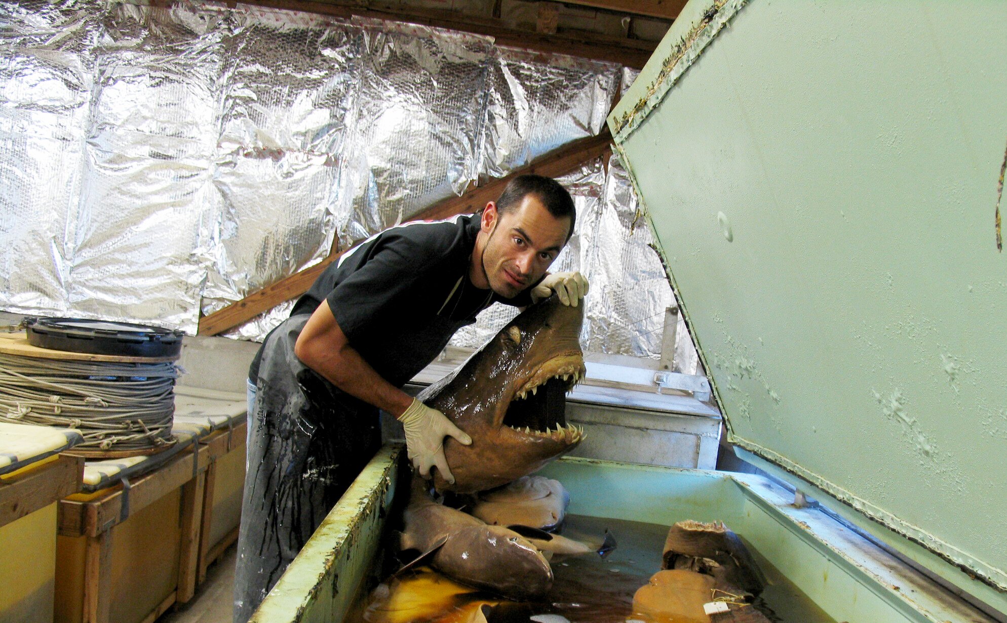 Ronny Maik Leder mit Urzeit-Hai