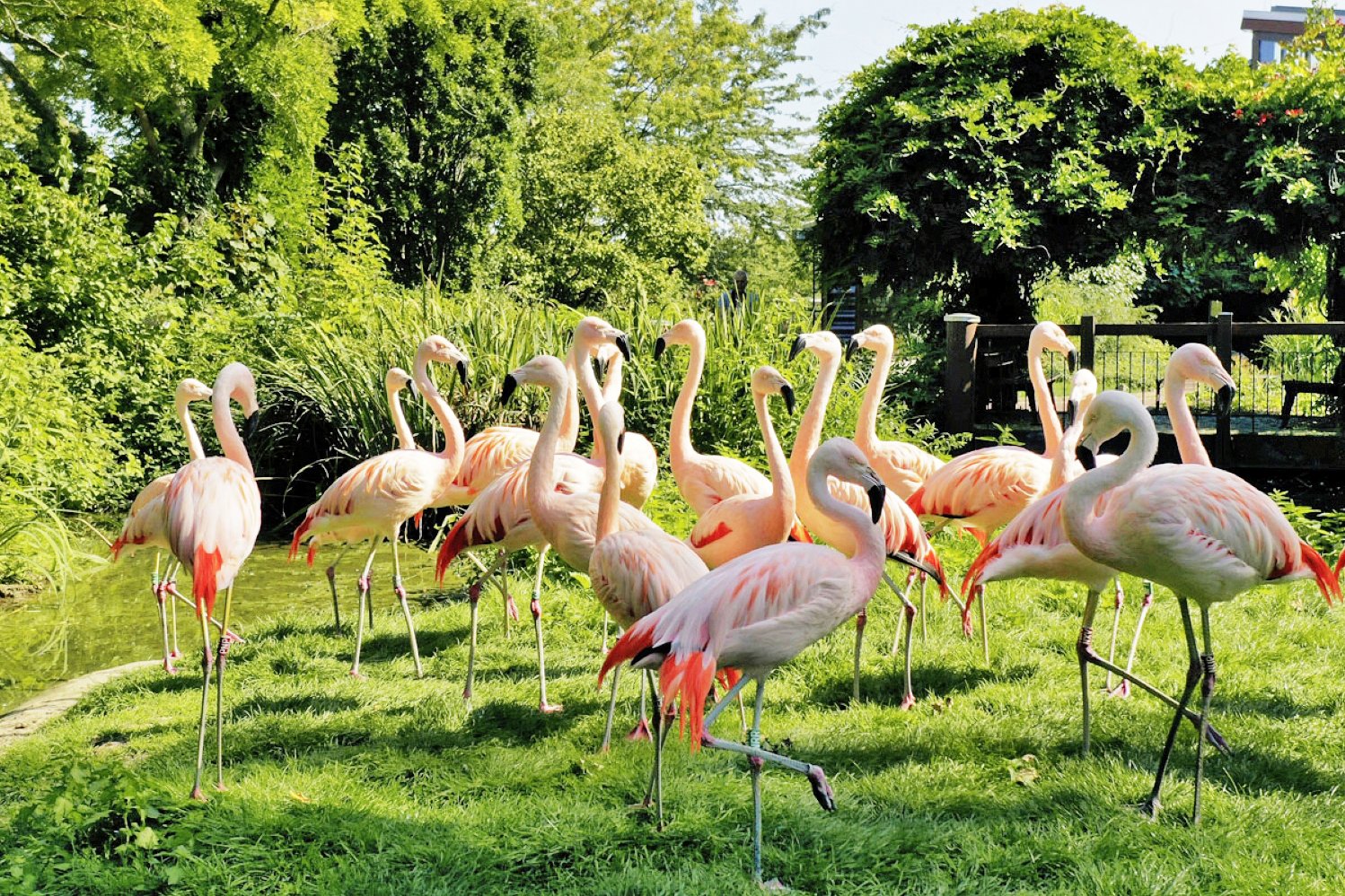 Frühling im Bergzoo