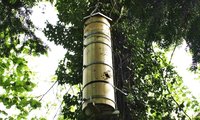 Baumhöhlen für Wildbienen