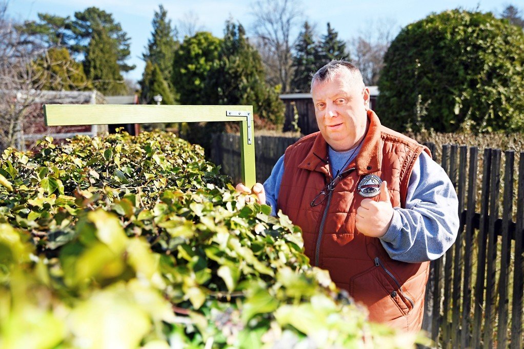 Efeu gehört nicht zu den Lieblingsgewächsen des Gartensheriffs