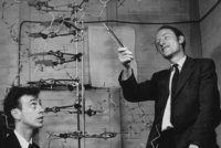 Watson und Crick