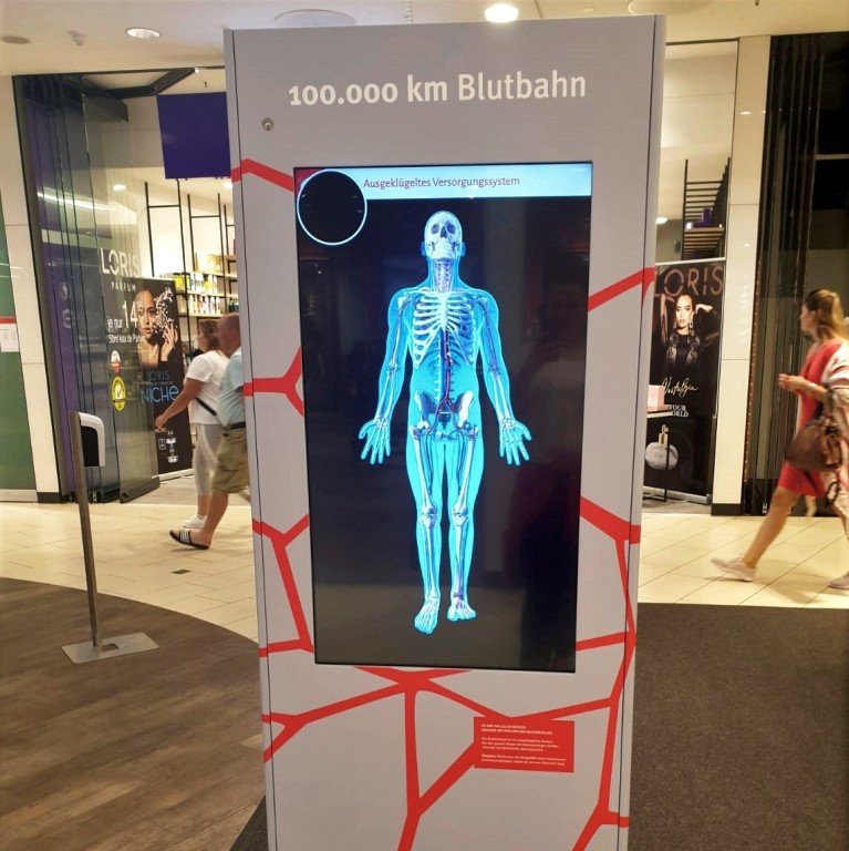 Der Blutkreislauf und das Skelett werden digital und anschaulich dargestellt