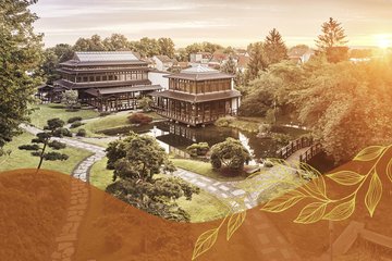 Goldene Herbstmomente im Japanischen Garten