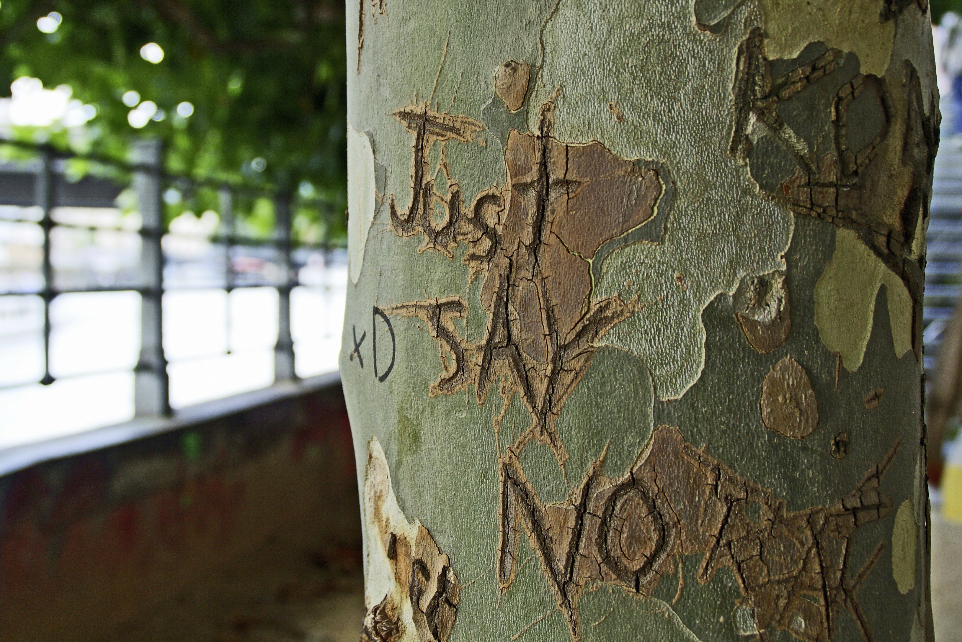 „Just say no”: Dieses Motto sollte man öfter einmal beherzigen