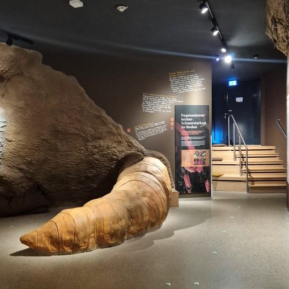 In der Wurzelhöhle lässt sich herausfinden, wie weit eine Wurzel unter die Erde reicht