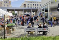 Tapir Outdoor Flohmarkt