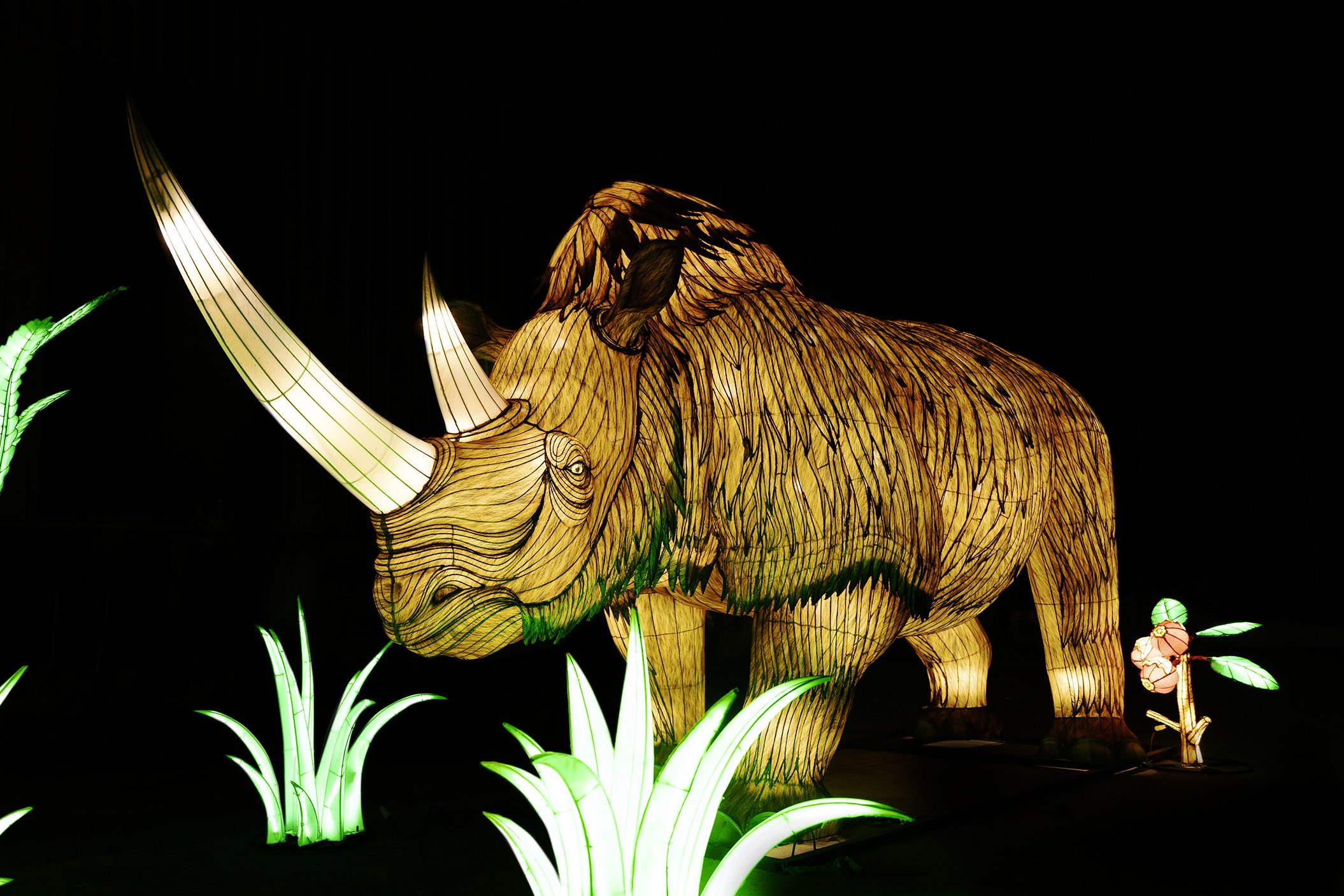 Wollnashorn-Installation