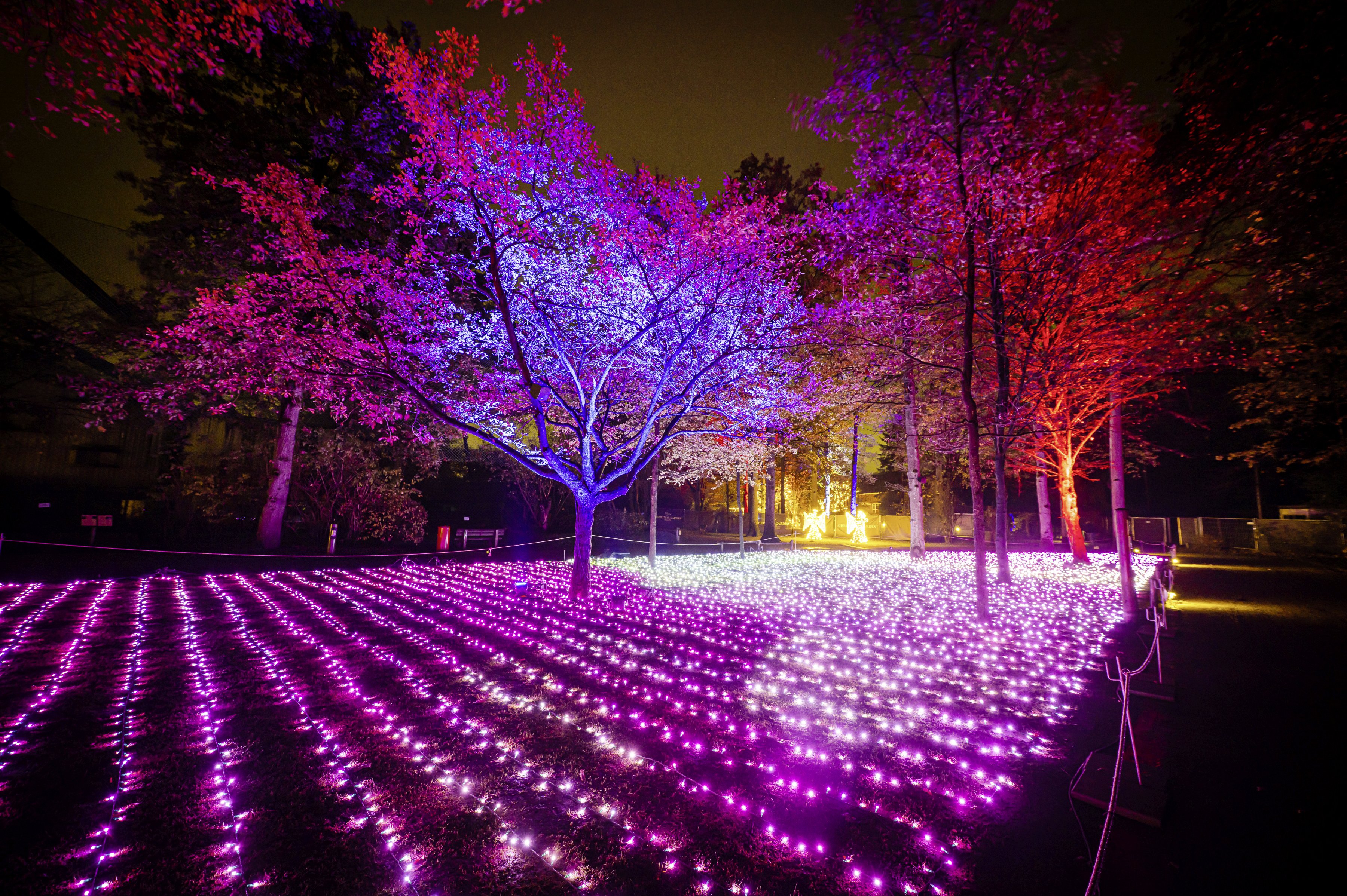 Der Christmas Garden verwandelt den agra-Park in eine faszinierende Lichterlandschaft