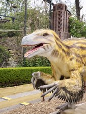 Utahraptor