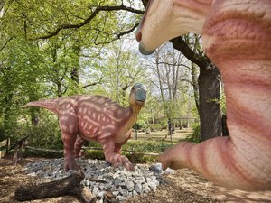 Parasaurolophus