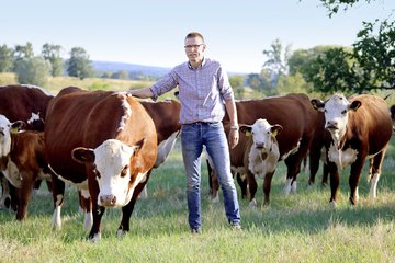 Die artgerechte Haltung seiner Hereford-Rinder auf der Weide ist Matthias Schneider wichtig