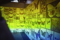 Einzigartige Kunst im Allee-Center mit der „Family Art Box"