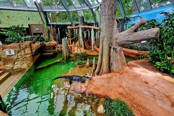 Historische Architektur und moderne Technik im neuen Leipziger Terrarium im Zoo der Zukunft