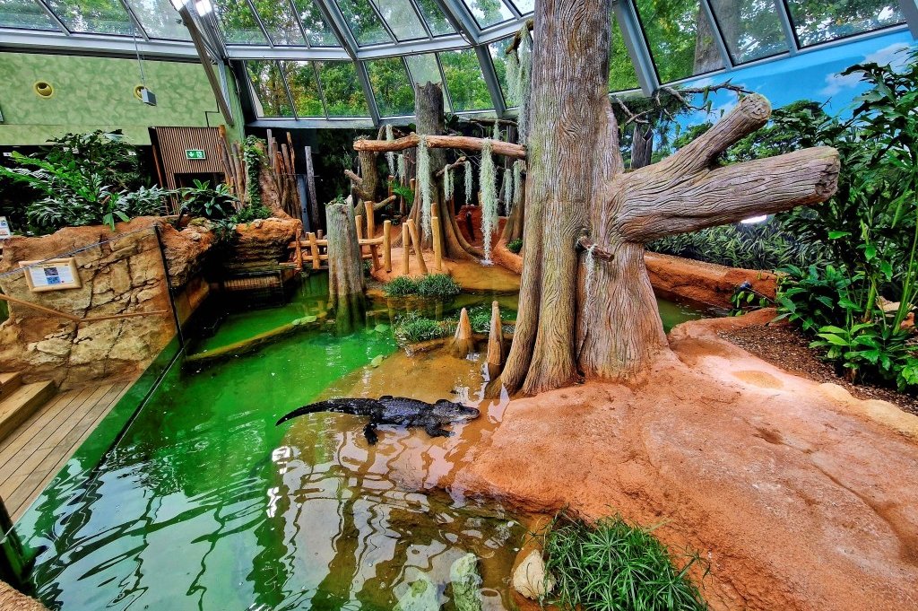 Historische Architektur und moderne Technik im neuen Leipziger Terrarium im Zoo der Zukunft