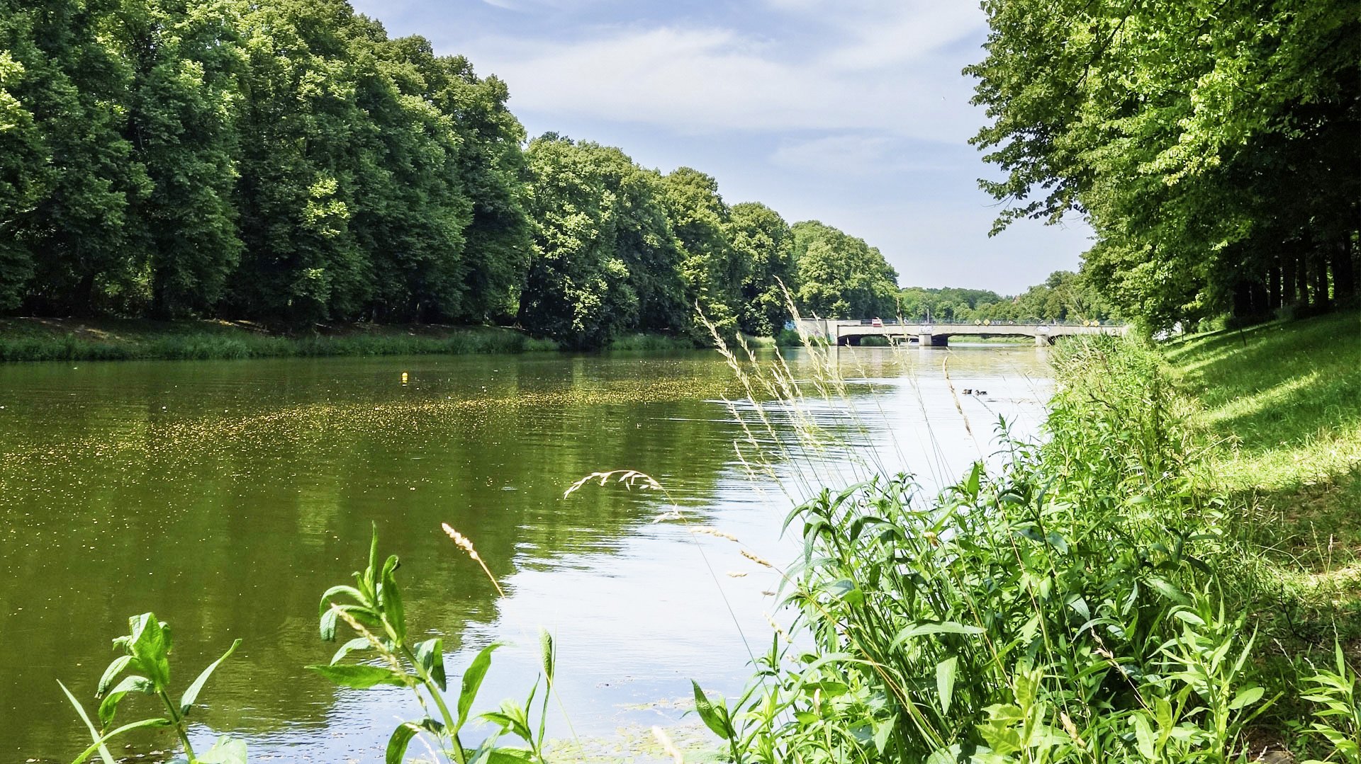 Landschaft um einen Fluss, im Hintergrund ist einen Brücke 
