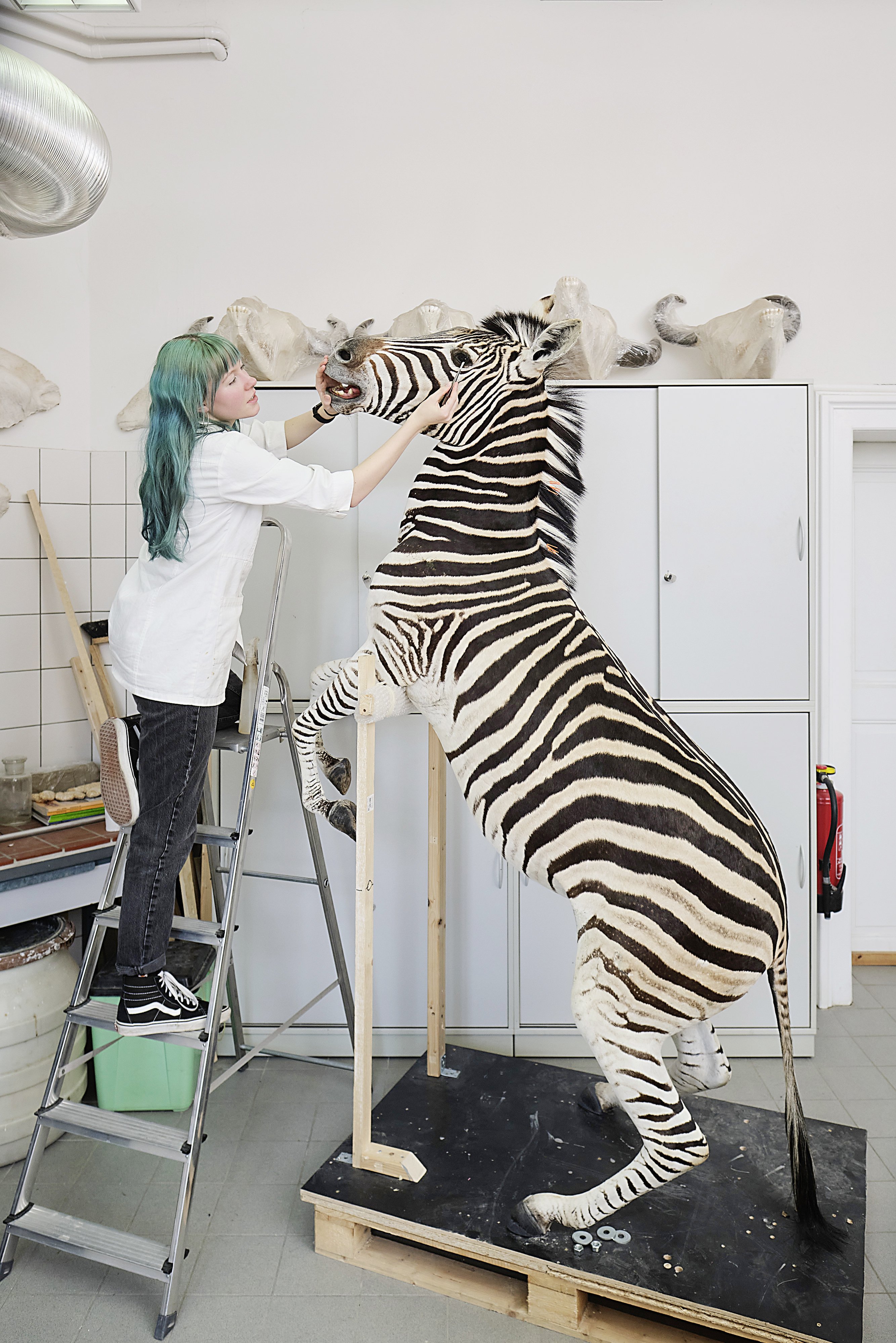 Feinschliff: Louisa Bosse arbeitet am Glasauge des Zebras